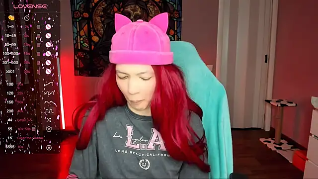 Project hisoka online show from March 19, 2025, 12:23 pm