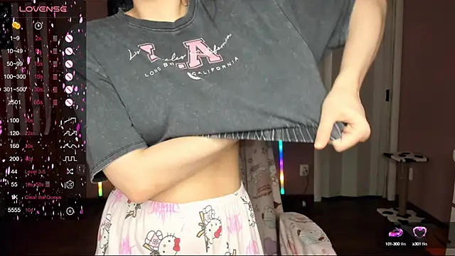 Project hisoka online show from March 10, 2025, 4:07 am