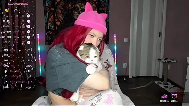 Project hisoka online show from March 10, 2025, 7:11 am