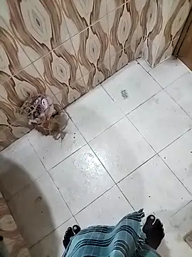 bas1cooks online show from September 30, 2025, 3:23 am