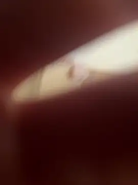 Kemenyfasz93 online show from March 9, 2025, 12:42 pm