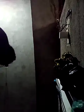 Yasha 14C Creator online show from December 18, 2025, 9:47 am