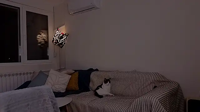 amber quell here online show from November 25, 2025, 5:13 pm