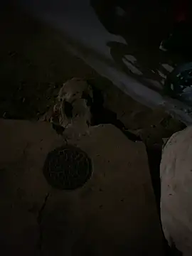 nowex18 online show from March 6, 2025, 6:52 am