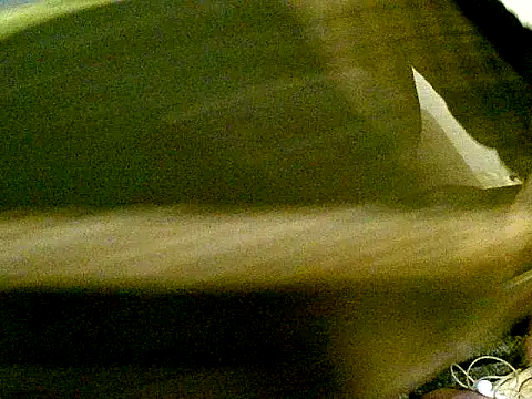 pollarikaaa online show from October 27, 2025, 4:02 am