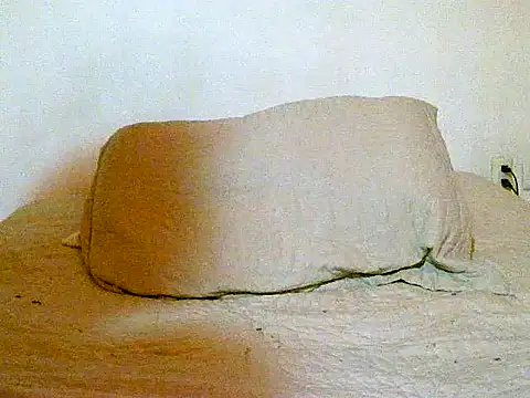 pollarikaaa online show from December 14, 2025, 12:06 am