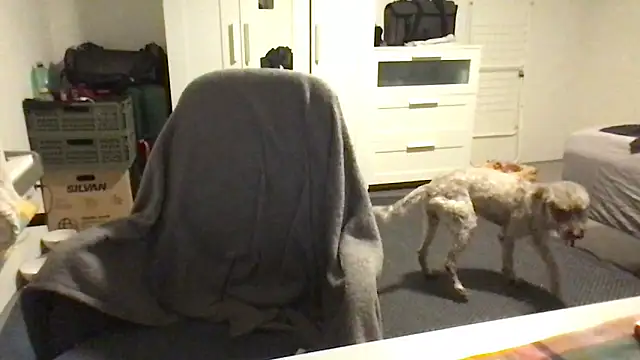 Totipro69 online show from February 16, 2025, 7:05 pm