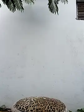 Chicavixy online show from February 7, 2025, 10:52 pm