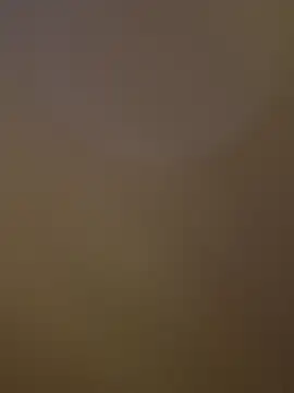 sat 1234 online show from November 16, 2025, 4:06 am