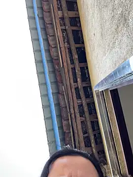 palzkybi123 online show from November 15, 2025, 4:27 am