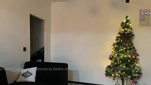 Snapshot of Chaptertoo chatting on January 22, 2025, 5:28 pm Chaptertoo online show from January 22, 2025, 5:28 pm