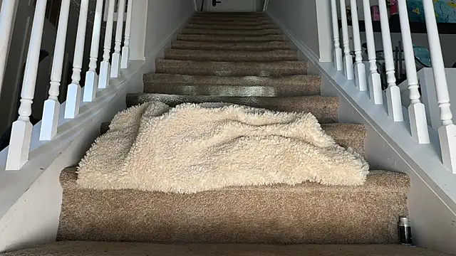 Theonlydreamybull online show from October 17, 2025, 5:15 pm