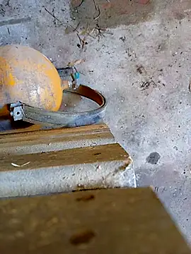 Din0071 online show from January 7, 2026, 6:02 pm