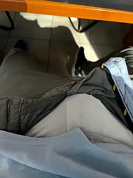 onbifeet online show from November 16, 2025, 9:47 am