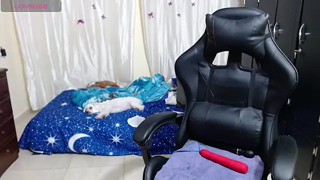 Giorgia xue53 online show from March 14, 2025, 3:15 am