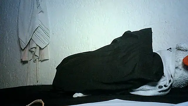 Bellabeltrann online show from November 28, 2025, 11:49 pm