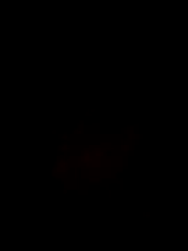 Noviostoxico online show from October 29, 2025, 9:36 pm