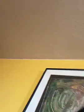 Noviostoxico online show from December 4, 2025, 2:05 pm