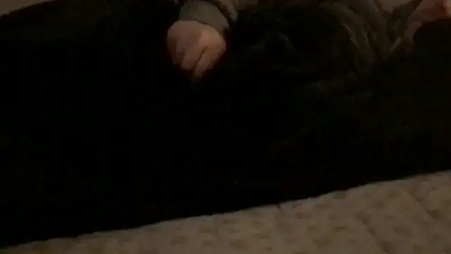 Rock Pierce online show from February 28, 2026, 1:22 pm