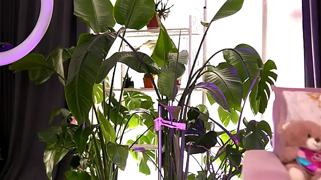 EmilyRaymont online show from September 21, 2025, 5:23 am