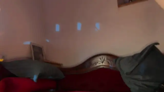 OohBunny online show from July 19, 2026, 4:59 pm