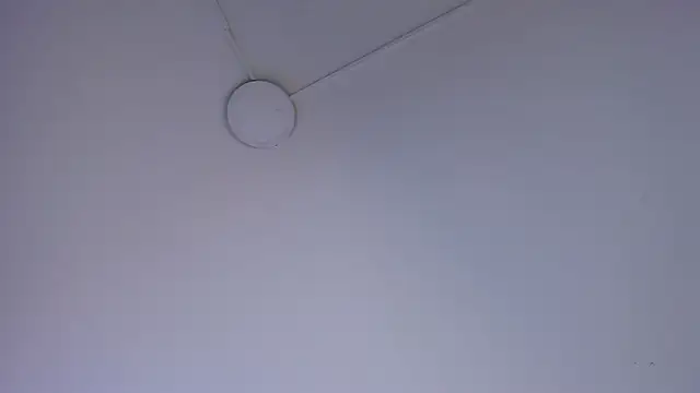 Alessia Taylorr online show from October 8, 2025, 11:45 am