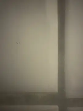 Snapshot of orient_zob chatting on February 19, 2026, 12:40 am orient zob online show from February 19, 2026, 12:40 am