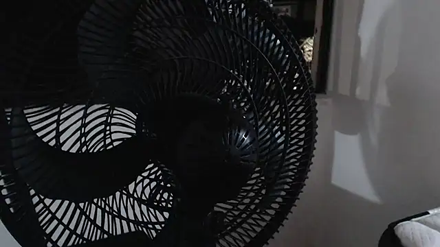 harry greg21 online show from November 15, 2025, 2:04 am