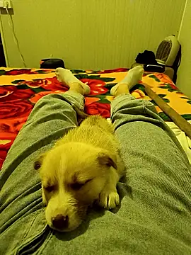 arenn1997 online show from January 9, 2026, 12:17 am