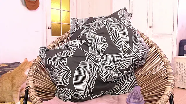 Mayrumey online show from March 7, 2025, 9:51 am