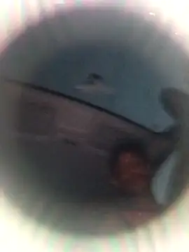 Ursonego online show from October 3, 2025, 10:11 pm