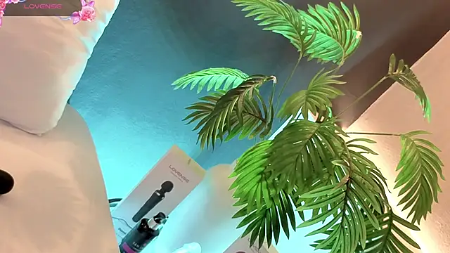 samanthaevanss1 online show from February 3, 2026, 2:53 am