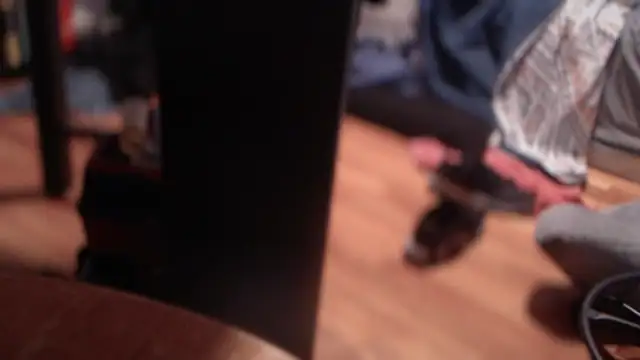 flexingplexico online show from March 3, 2025, 9:24 am