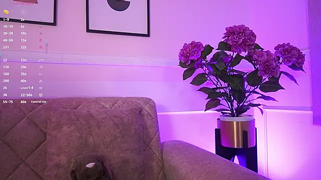 Anybuny online show from February 4, 2026, 11:38 am