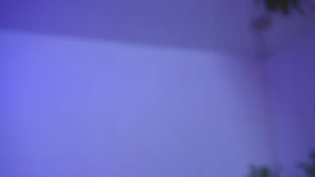 catalina  lovers online show from December 17, 2025, 5:29 pm