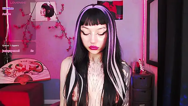 catipetite online show from February 14, 2026, 5:29 am