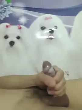 826687 online show from March 2, 2026, 1:40 pm