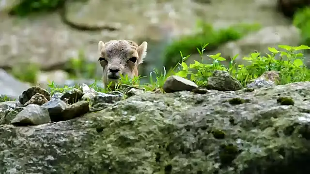 Snapshot of streamy_test13 chatting on February 21, 2025, 4:26 pm streamy test13 online show from February 21, 2025, 4:26 pm