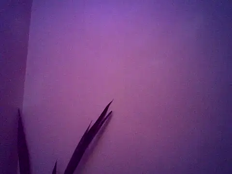 Snapshot of Malandralle chatting on November 25, 2025, 5:30 am Malandralle online show from November 25, 2025, 5:30 am