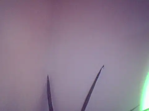 Snapshot of Malandralle chatting on December 1, 2025, 5:47 pm Malandralle online show from December 1, 2025, 5:47 pm