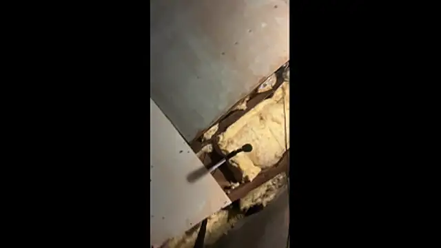 Snapshot of Manwhorxxlcock chatting on March 3, 2026, 10:33 am Manwhorxxlcock online show from March 3, 2026, 10:33 am