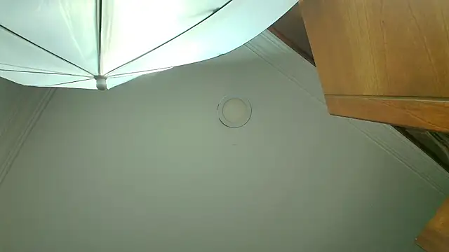 stella xue online show from March 20, 2025, 8:08 pm