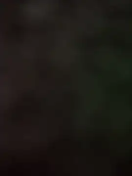 Samarth 0081 online show from September 17, 2025, 2:30 pm