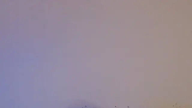 daiki sx online show from January 24, 2025, 1:47 pm