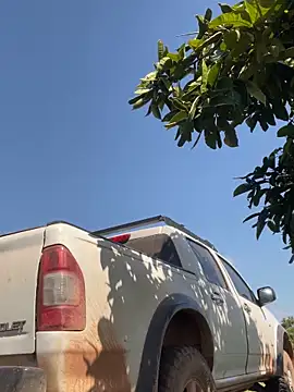 Rati Curly online show from February 25, 2026, 1:55 pm