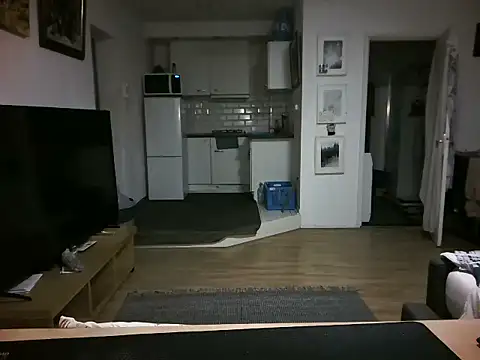 mihaimichael online show from April 16, 2026, 10:45 pm