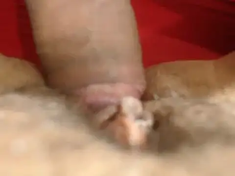 Snapshot of lolamike19 chatting on November 18, 2025, 10:29 am lolamike19 online show from November 18, 2025, 10:29 am