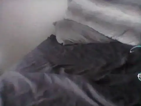 bogbosdick online show from March 12, 2026, 12:31 pm