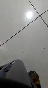 bogbosdick online show from February 21, 2025, 10:59 pm