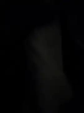 pipeload1275 online show from November 20, 2025, 7:53 am